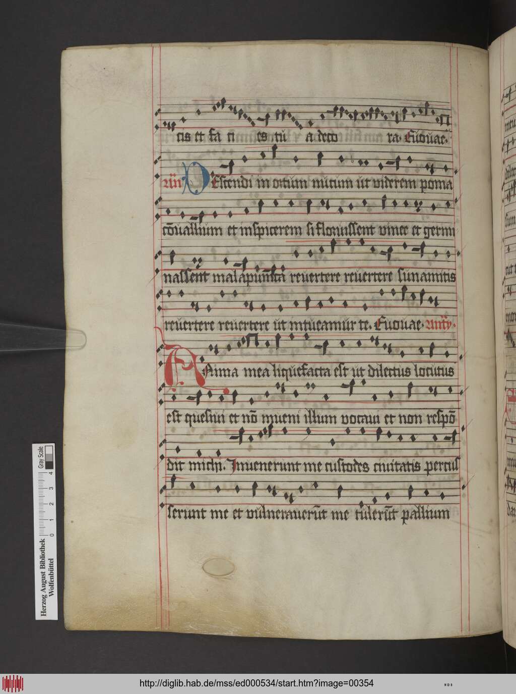 http://diglib.hab.de/mss/ed000534/00354.jpg