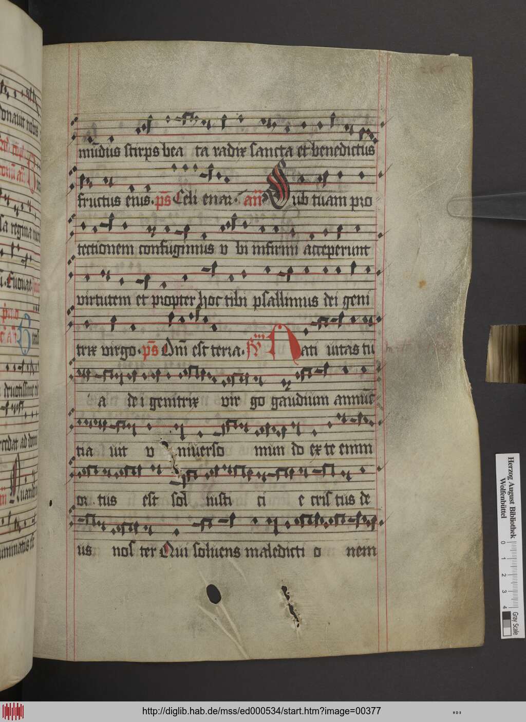 http://diglib.hab.de/mss/ed000534/00377.jpg