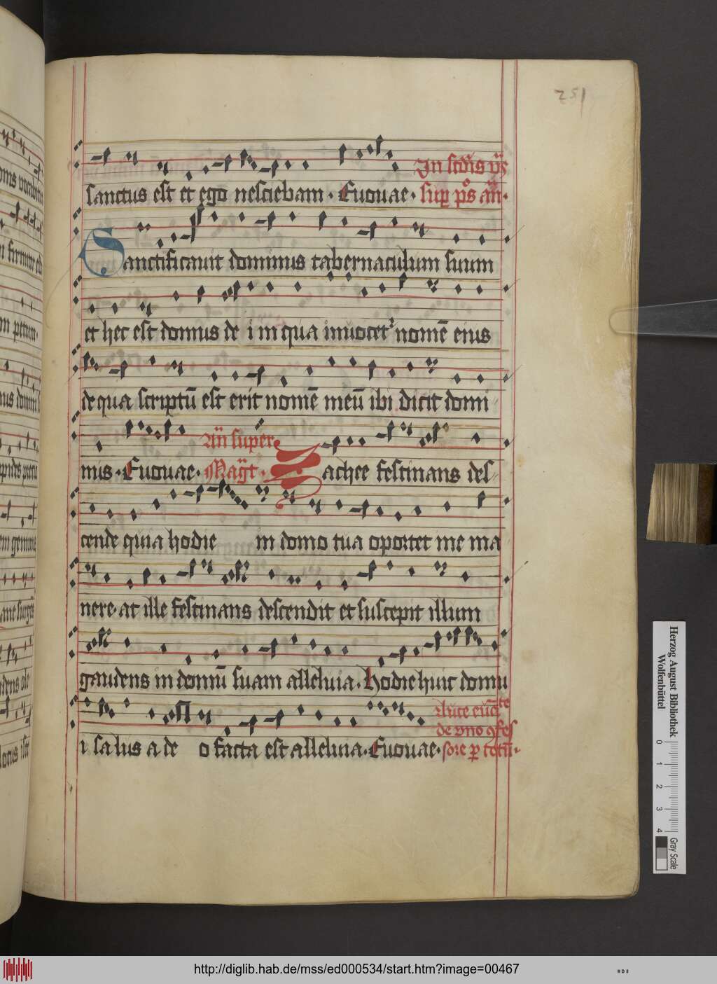 http://diglib.hab.de/mss/ed000534/00467.jpg