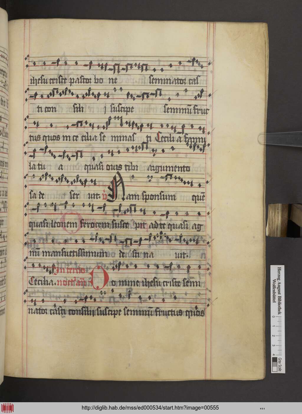 http://diglib.hab.de/mss/ed000534/00555.jpg