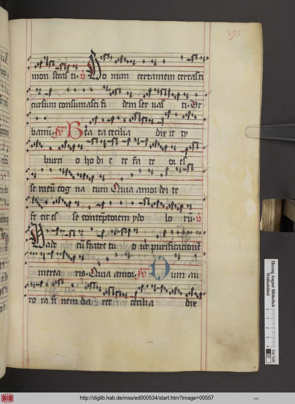 http://diglib.hab.de/mss/ed000534/00557.jpg