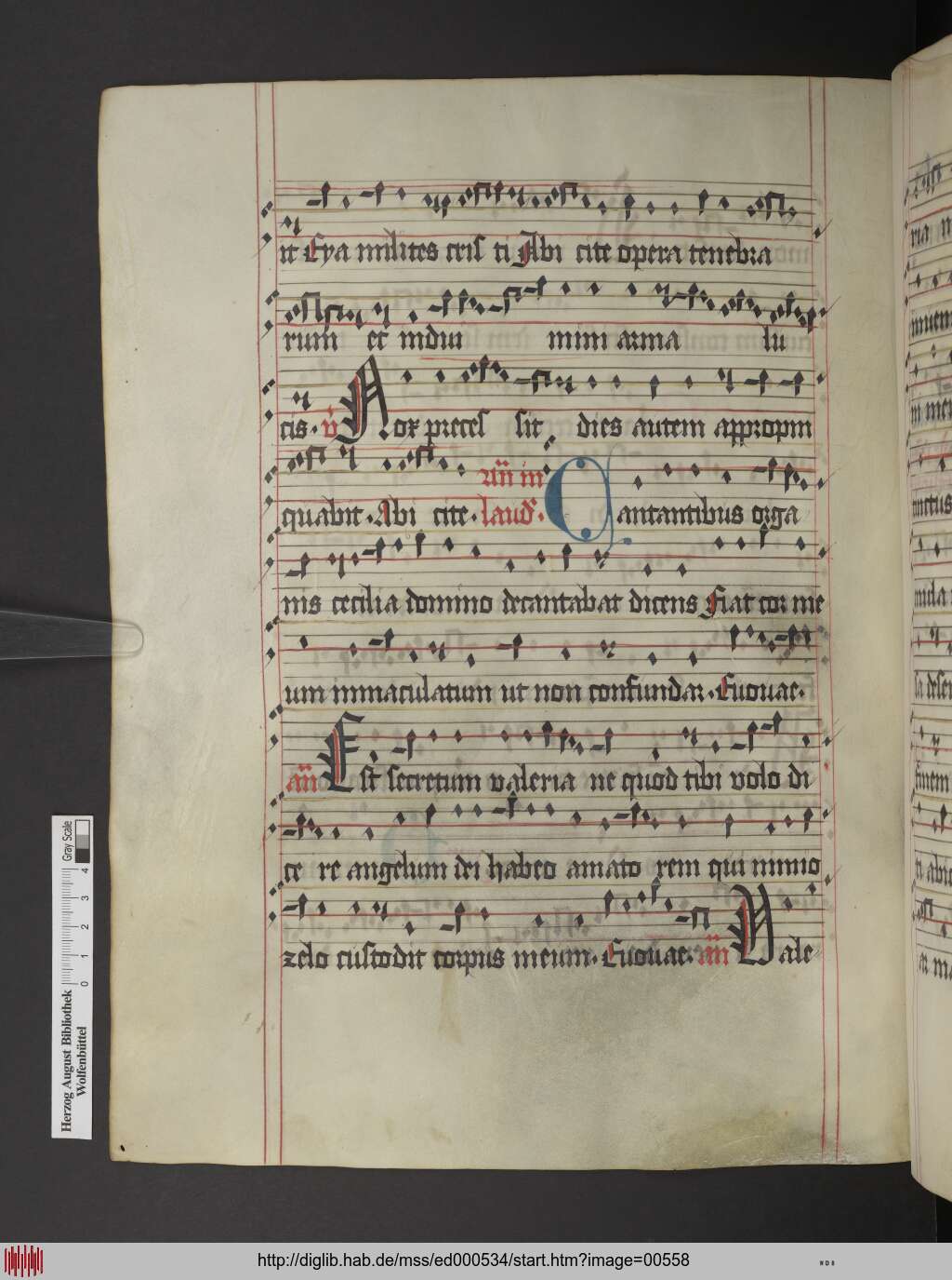 http://diglib.hab.de/mss/ed000534/00558.jpg