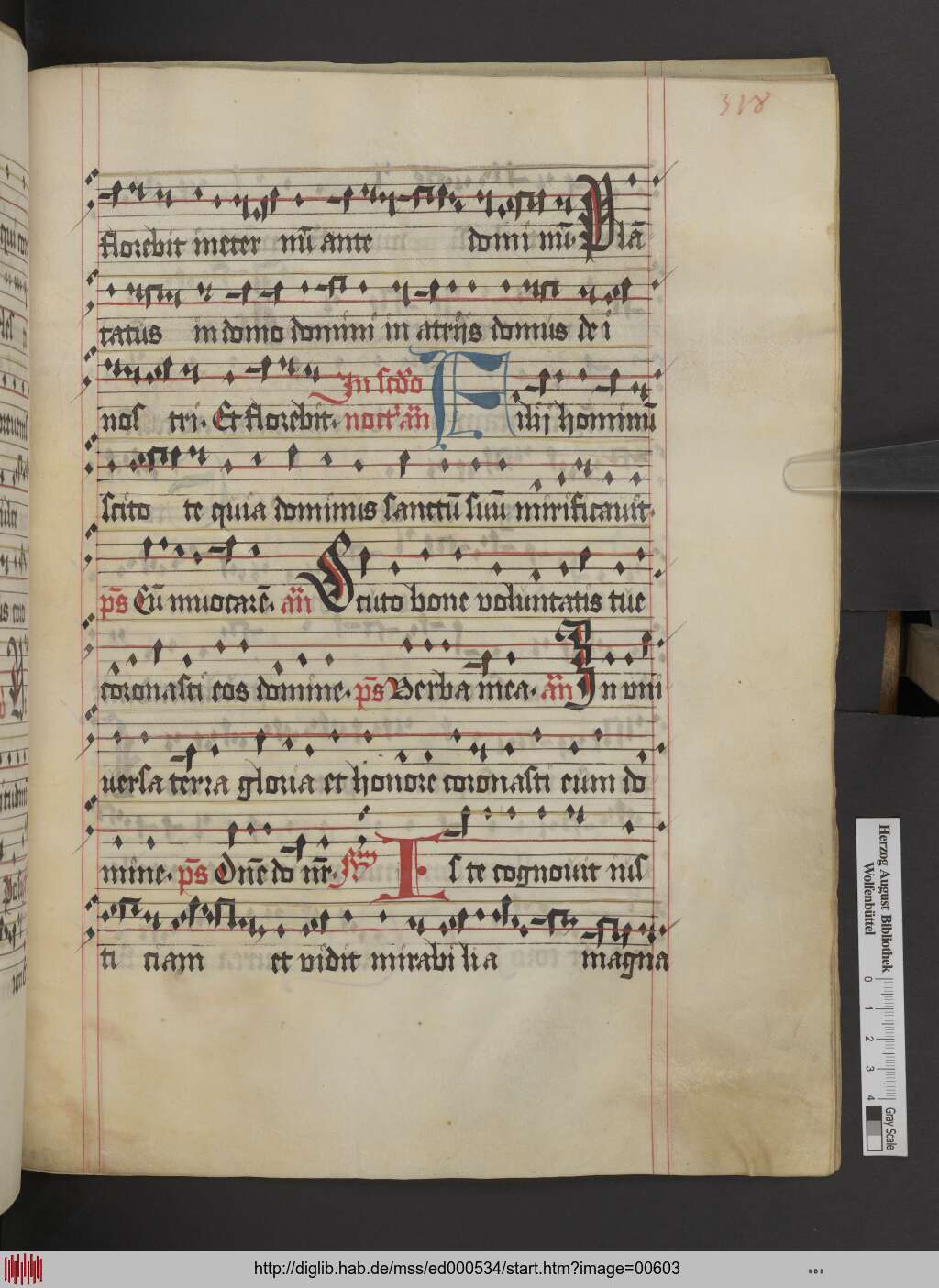 http://diglib.hab.de/mss/ed000534/00603.jpg