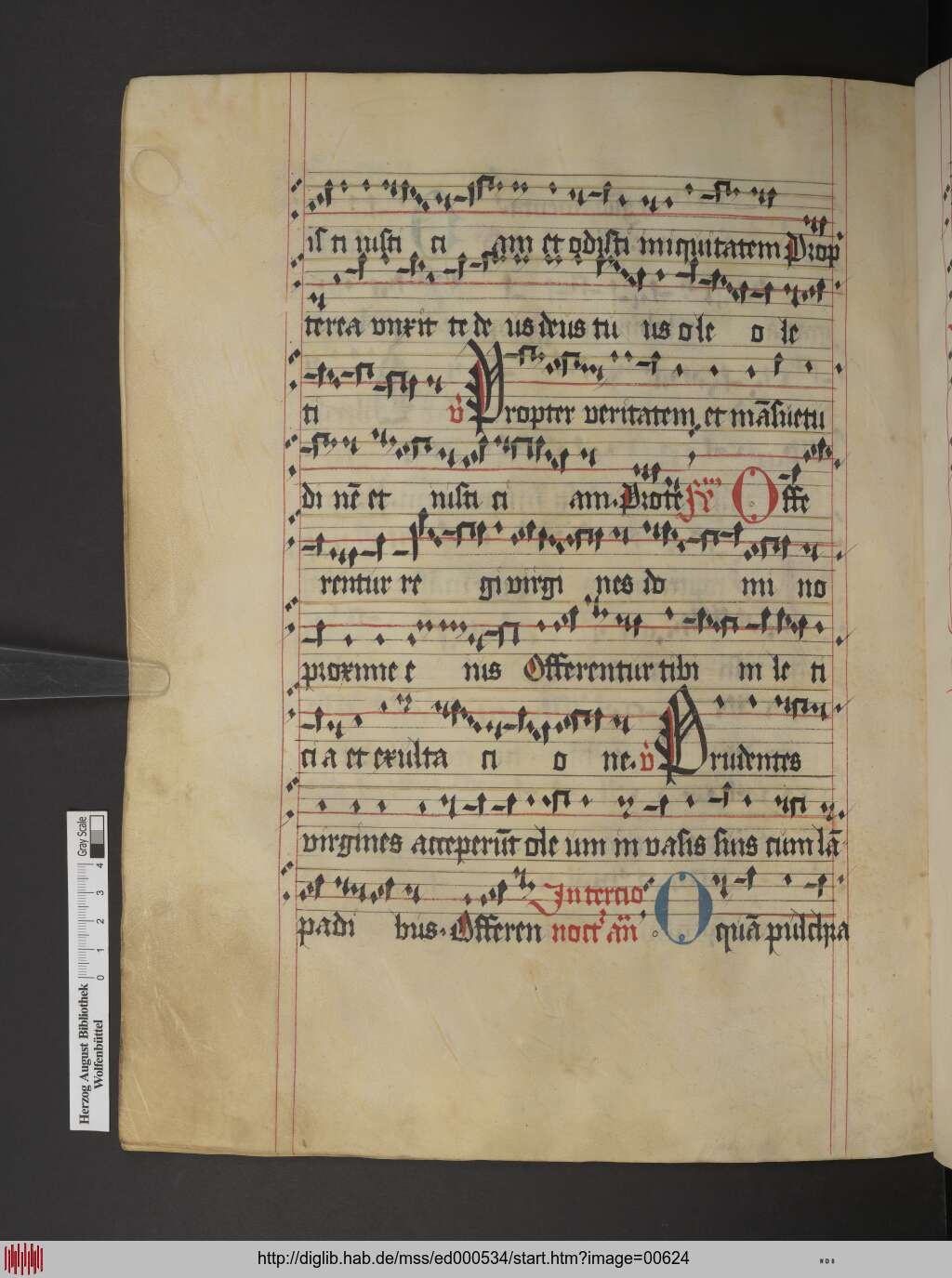 http://diglib.hab.de/mss/ed000534/00624.jpg