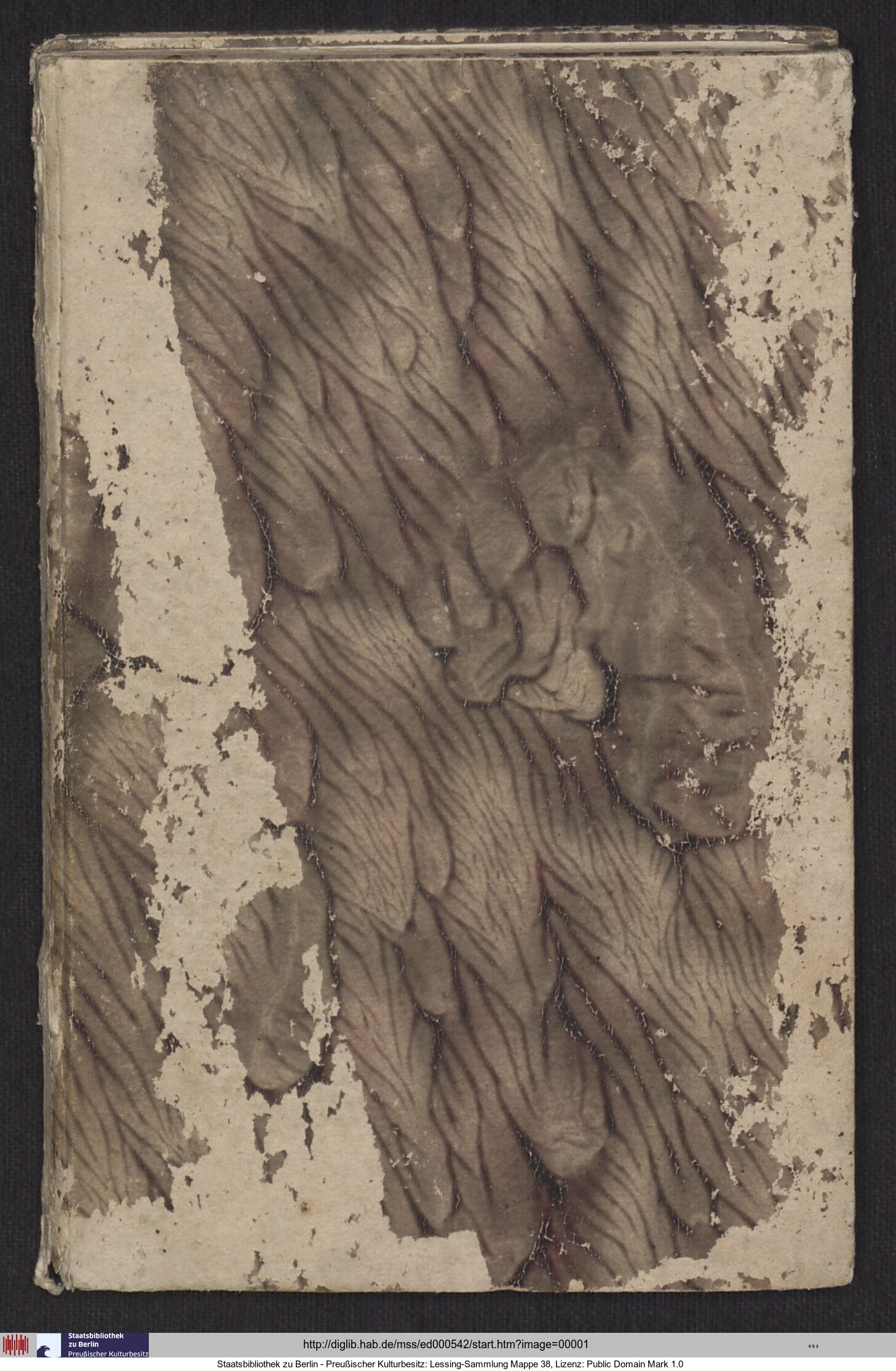http://diglib.hab.de/mss/ed000542/max/00001.jpg