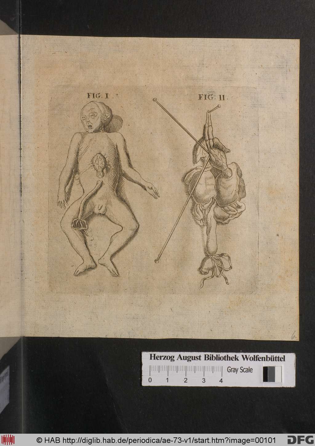 http://diglib.hab.de/periodica/ae-73-v1/00101.jpg