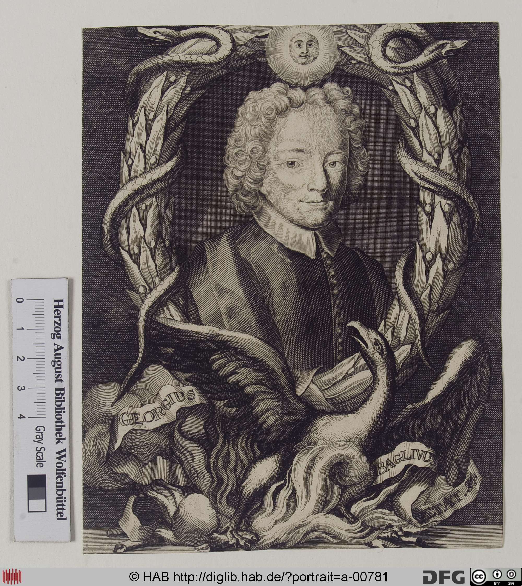 http://diglib.hab.de/varia/portrait/a-00781/max/000001.jpg