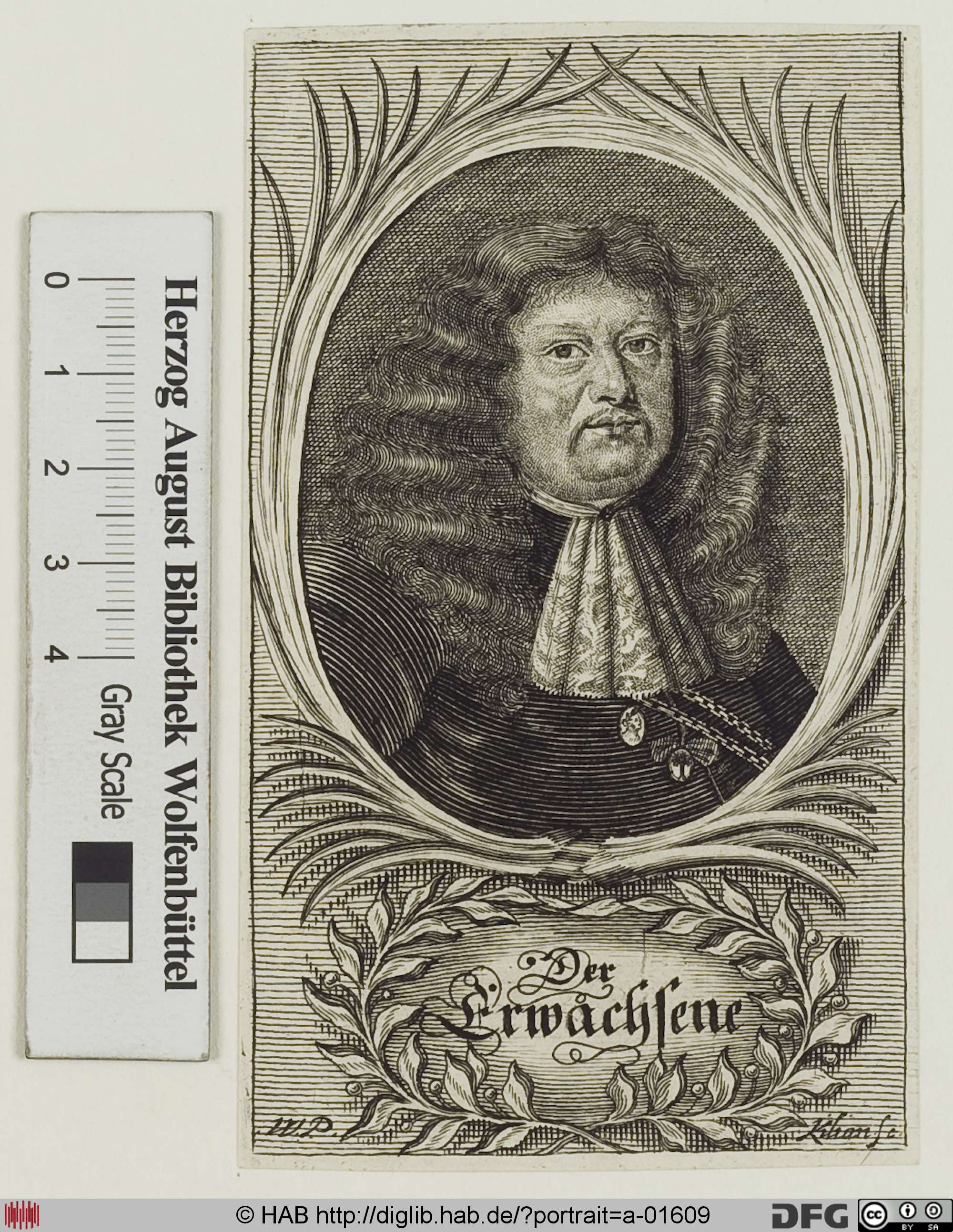 http://diglib.hab.de/varia/portrait/a-01609/max/000001.jpg