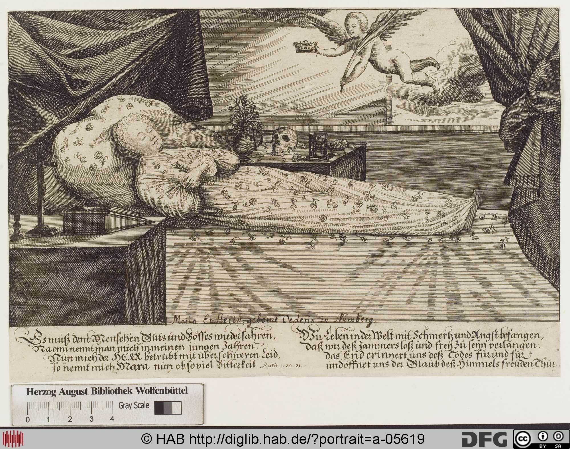 http://diglib.hab.de/varia/portrait/a-05619/max/000001.jpg
