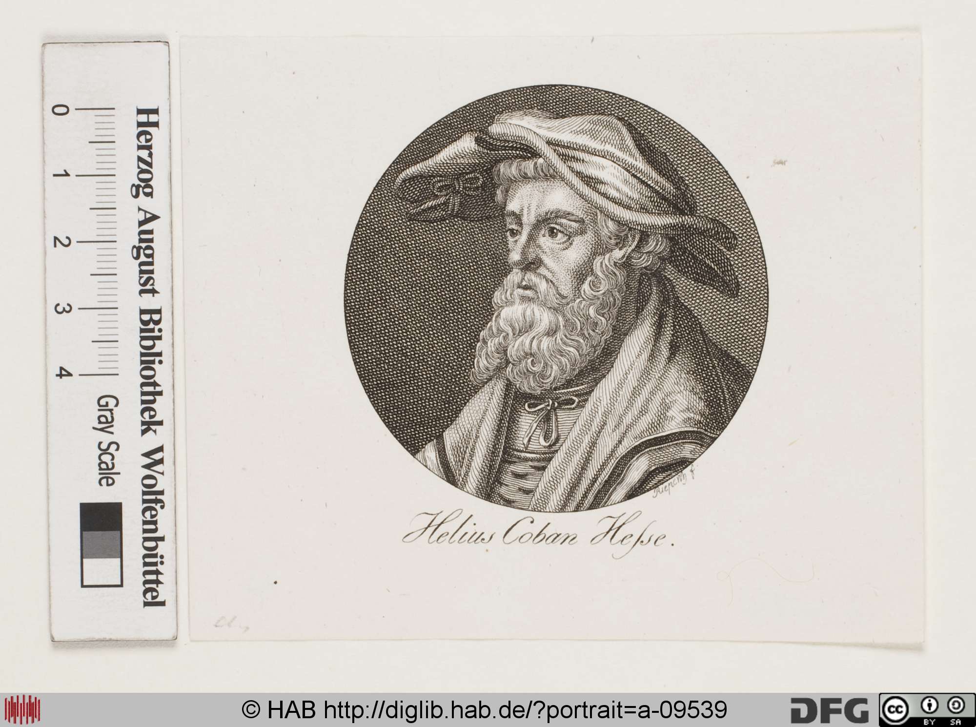 http://diglib.hab.de/varia/portrait/a-09539/max/000001.jpg