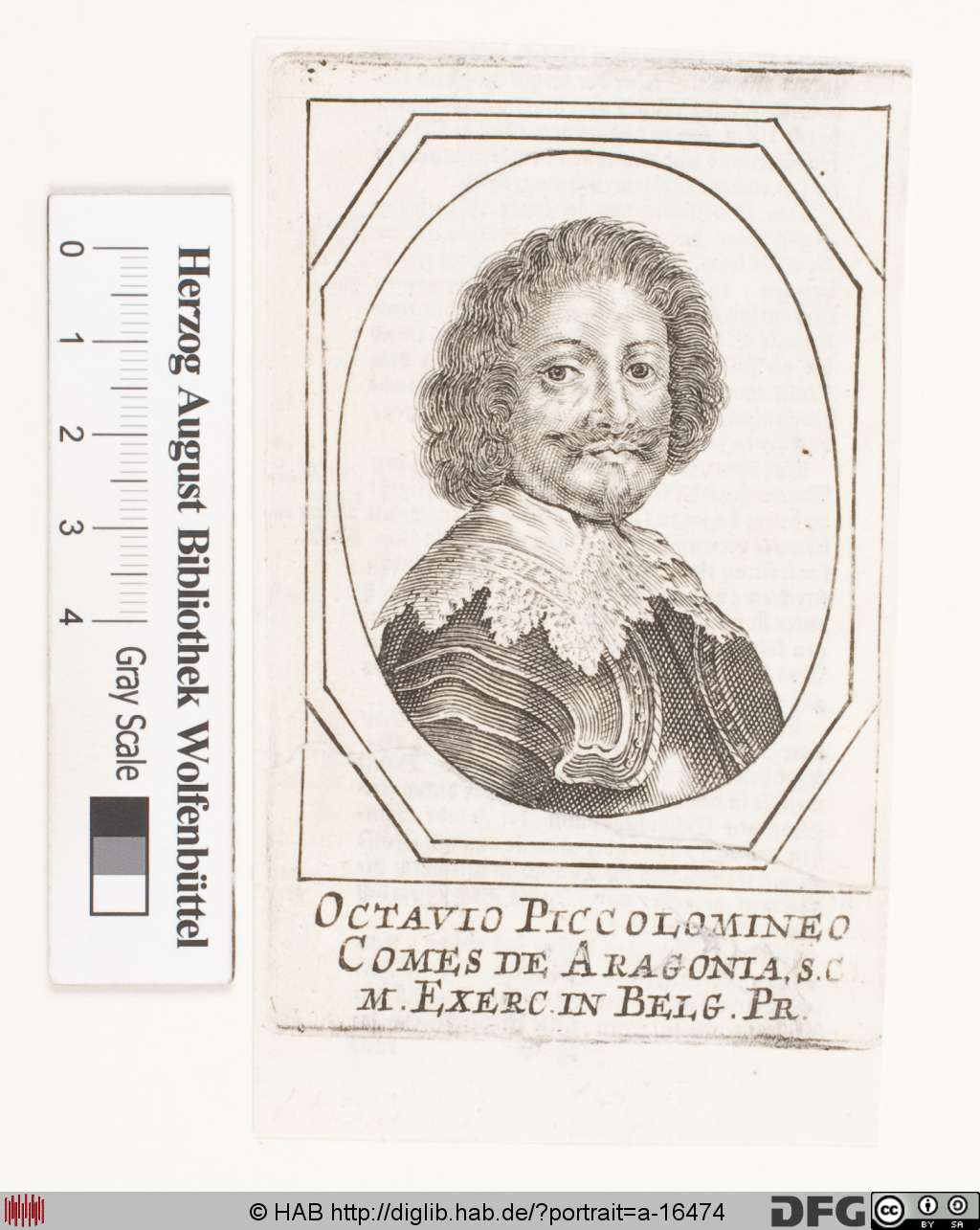 http://diglib.hab.de/varia/portrait/a-16474/000001.jpg