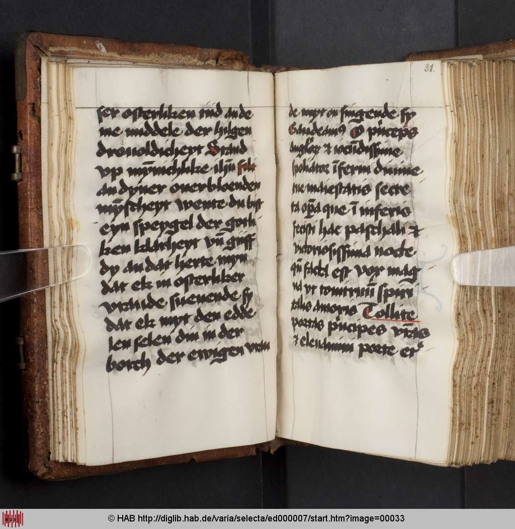 http://diglib.hab.de/varia/selecta/ed000007/00033.jpg