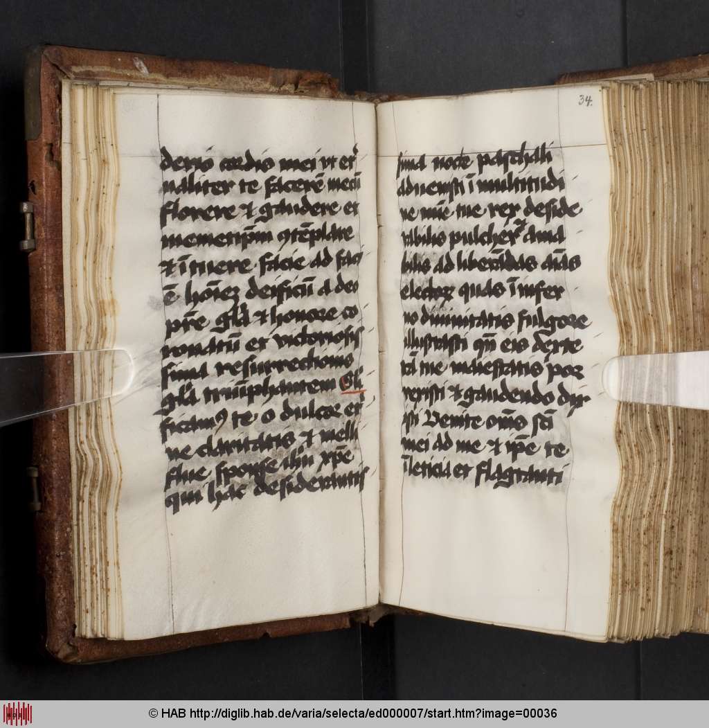 http://diglib.hab.de/varia/selecta/ed000007/00036.jpg