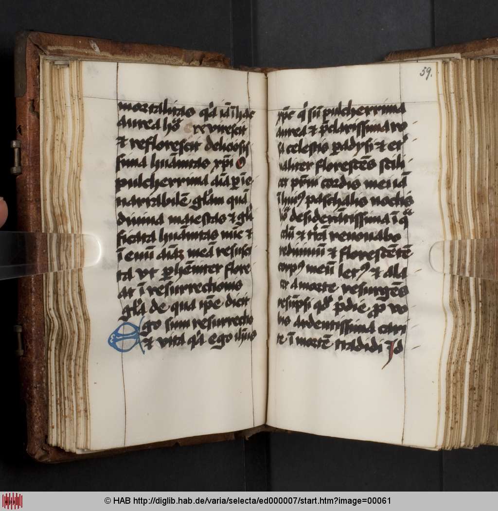 http://diglib.hab.de/varia/selecta/ed000007/00061.jpg