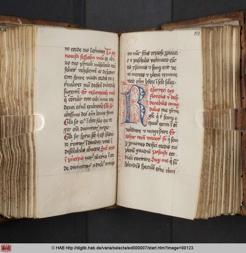 http://diglib.hab.de/varia/selecta/ed000007/00123.jpg