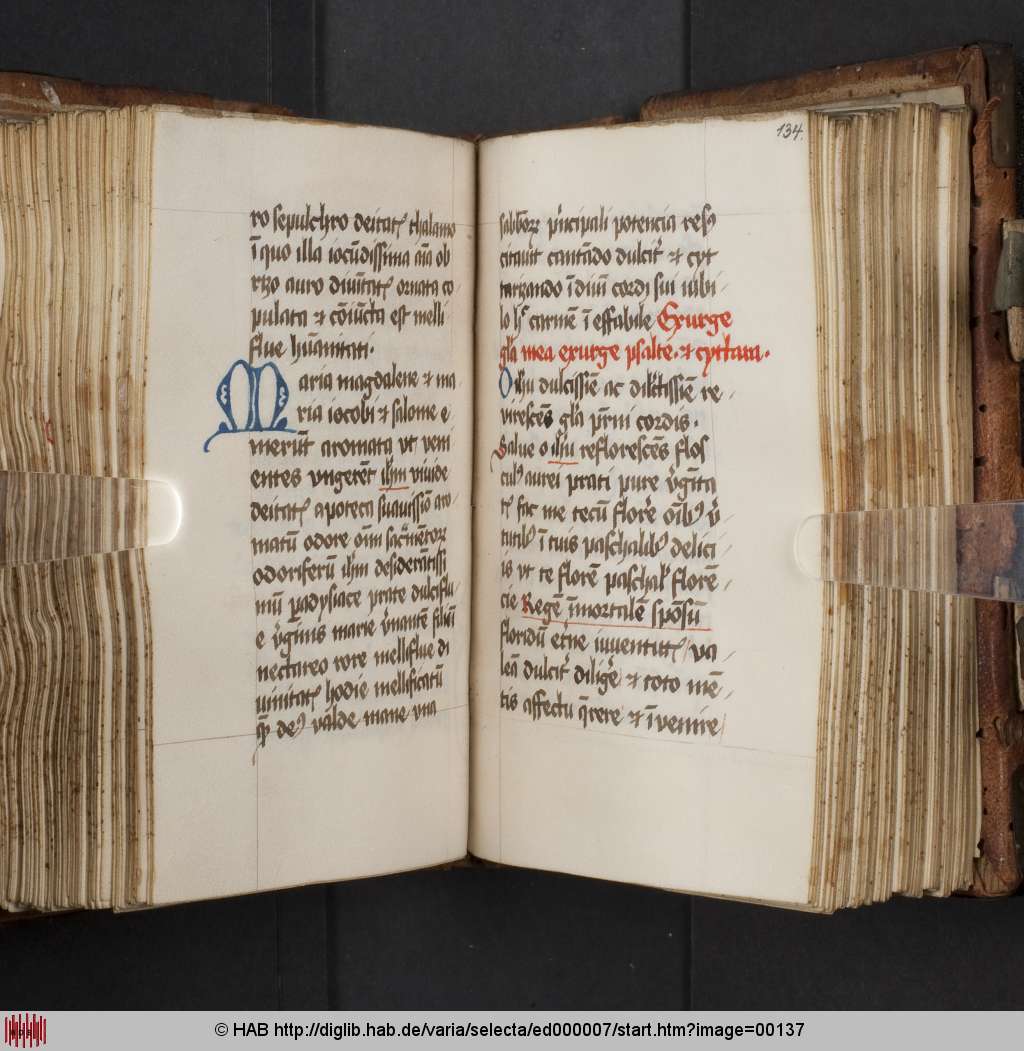 http://diglib.hab.de/varia/selecta/ed000007/00137.jpg