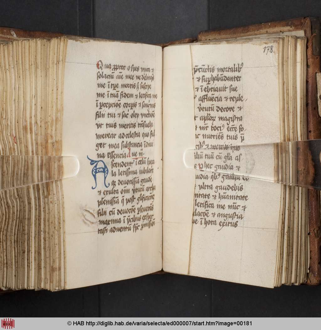 http://diglib.hab.de/varia/selecta/ed000007/00181.jpg