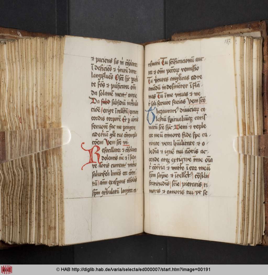 http://diglib.hab.de/varia/selecta/ed000007/00191.jpg