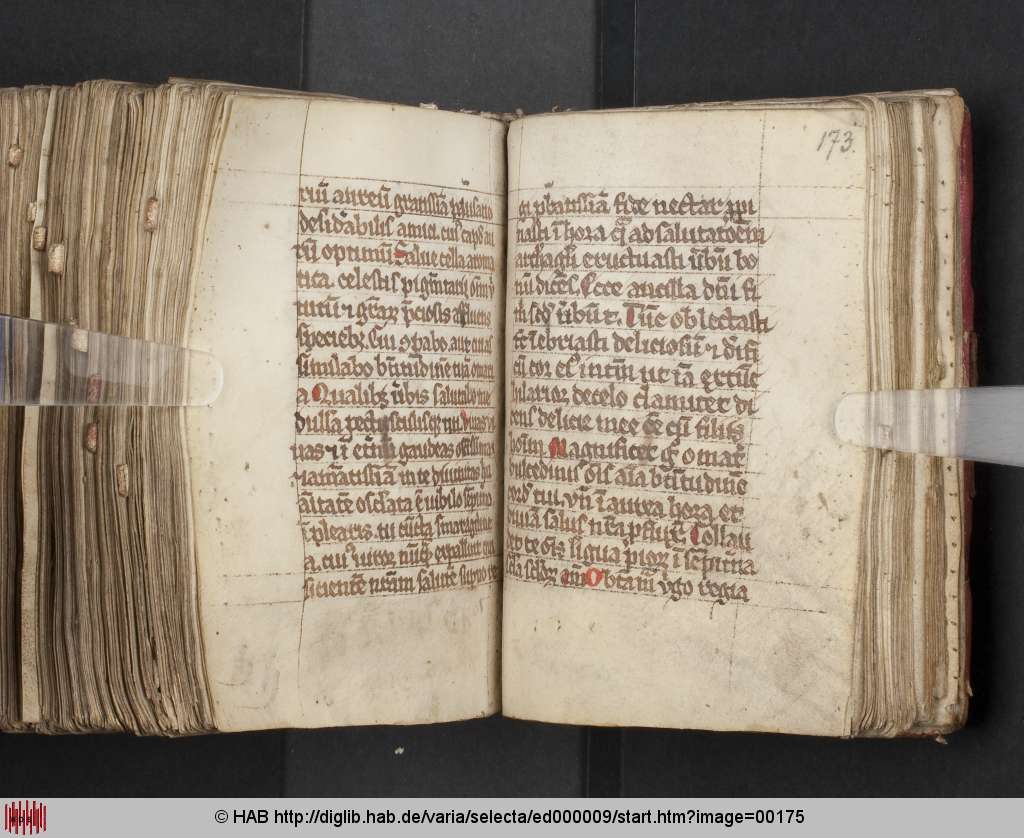 http://diglib.hab.de/varia/selecta/ed000009/00175.jpg