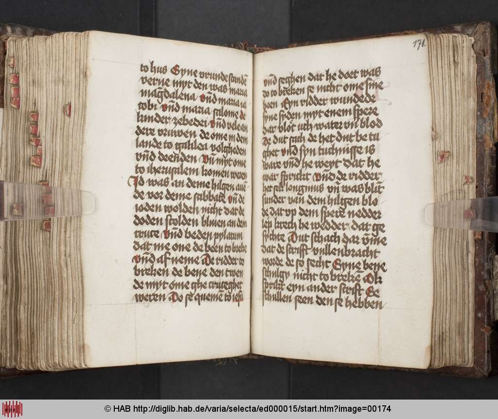 http://diglib.hab.de/varia/selecta/ed000015/00174.jpg