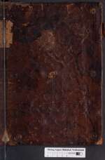 Cod. Guelf. 81 Aug. 2° — Opus medicum Lolympro de las operationes manuale — Italien?, 1451