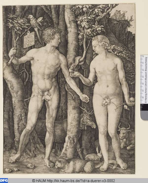Adam und Eva, Albrecht Dürer, 1504