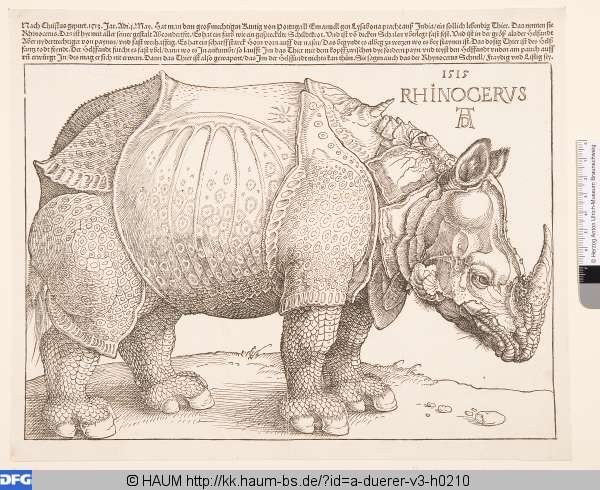 Rhinoceros (Rhinocerus), Albrecht Dürer, 1515