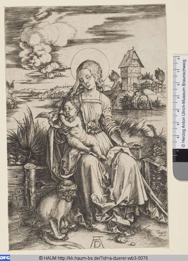 Maria mit der Meerkatze, Albrecht Dürer, 1497–1499
