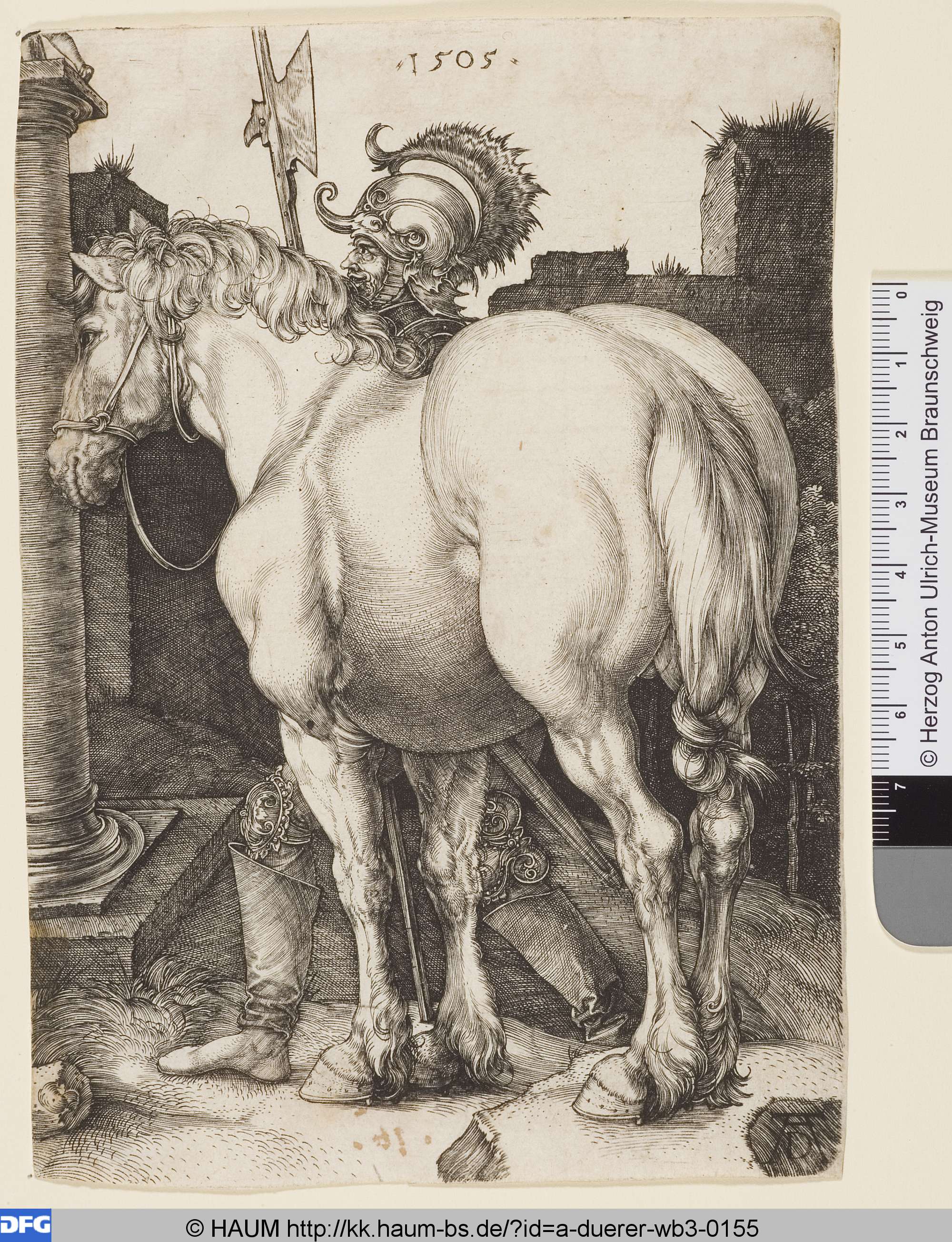 Das große Pferd, Albrecht Dürer, 1505