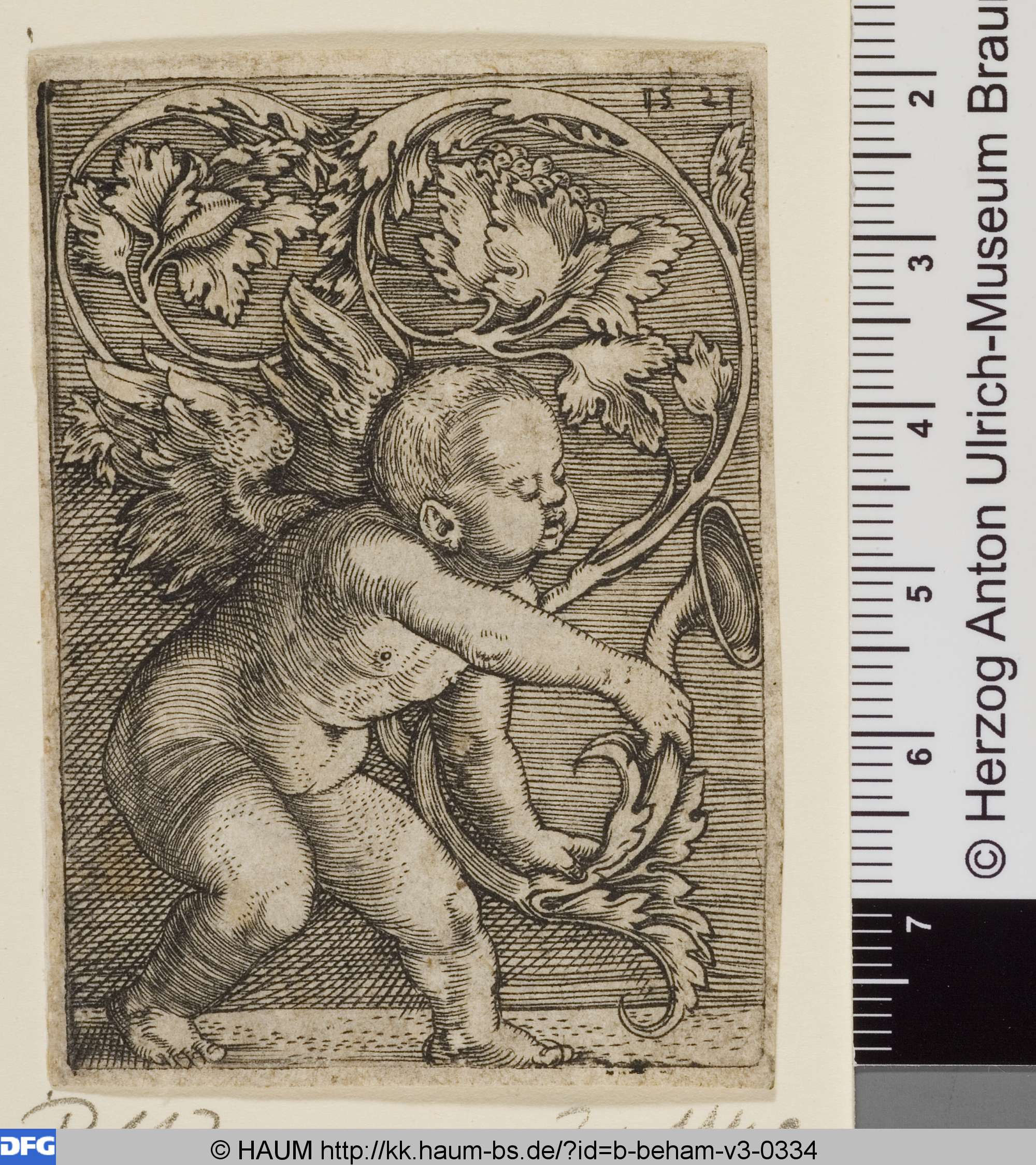Geflügelter Genius mit einer Doppelranke, Barthel Beham, 1520–1540