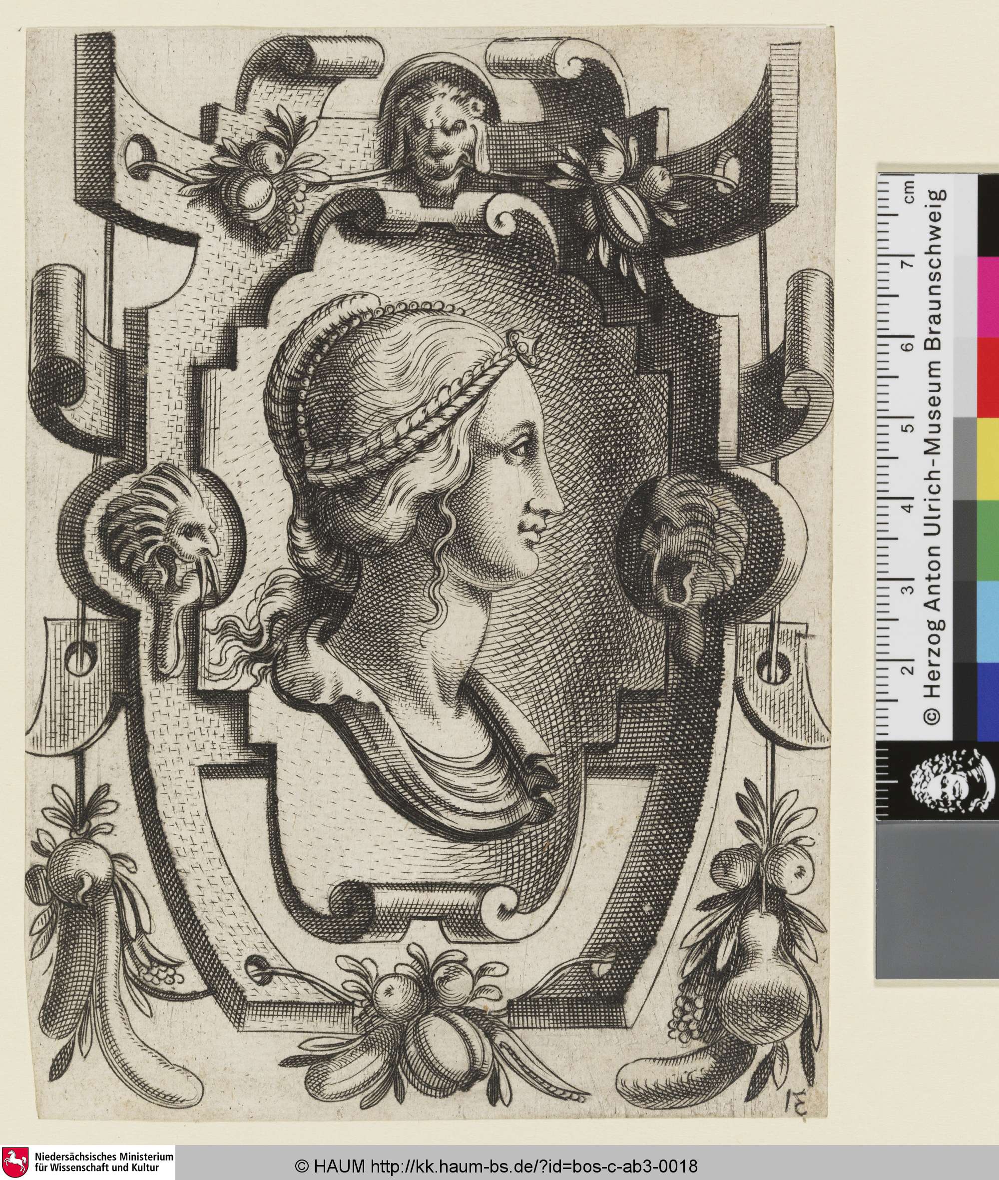 [Bildnis einer Frau im Profil auf einer ornamentalen Kartusche; Portrait of a lady in the middle of the cartouche], Cornelis Bos, 1526–1556