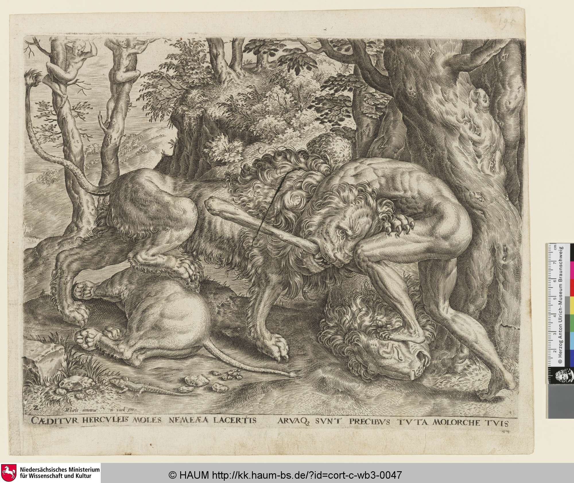 [Herakles erstickt den Nemeischen Löwen mit bloßen Händen; Hercules slays the Nemean lion; Hercule et le lion de Nemee], Simon Jansz. Kies, 1563