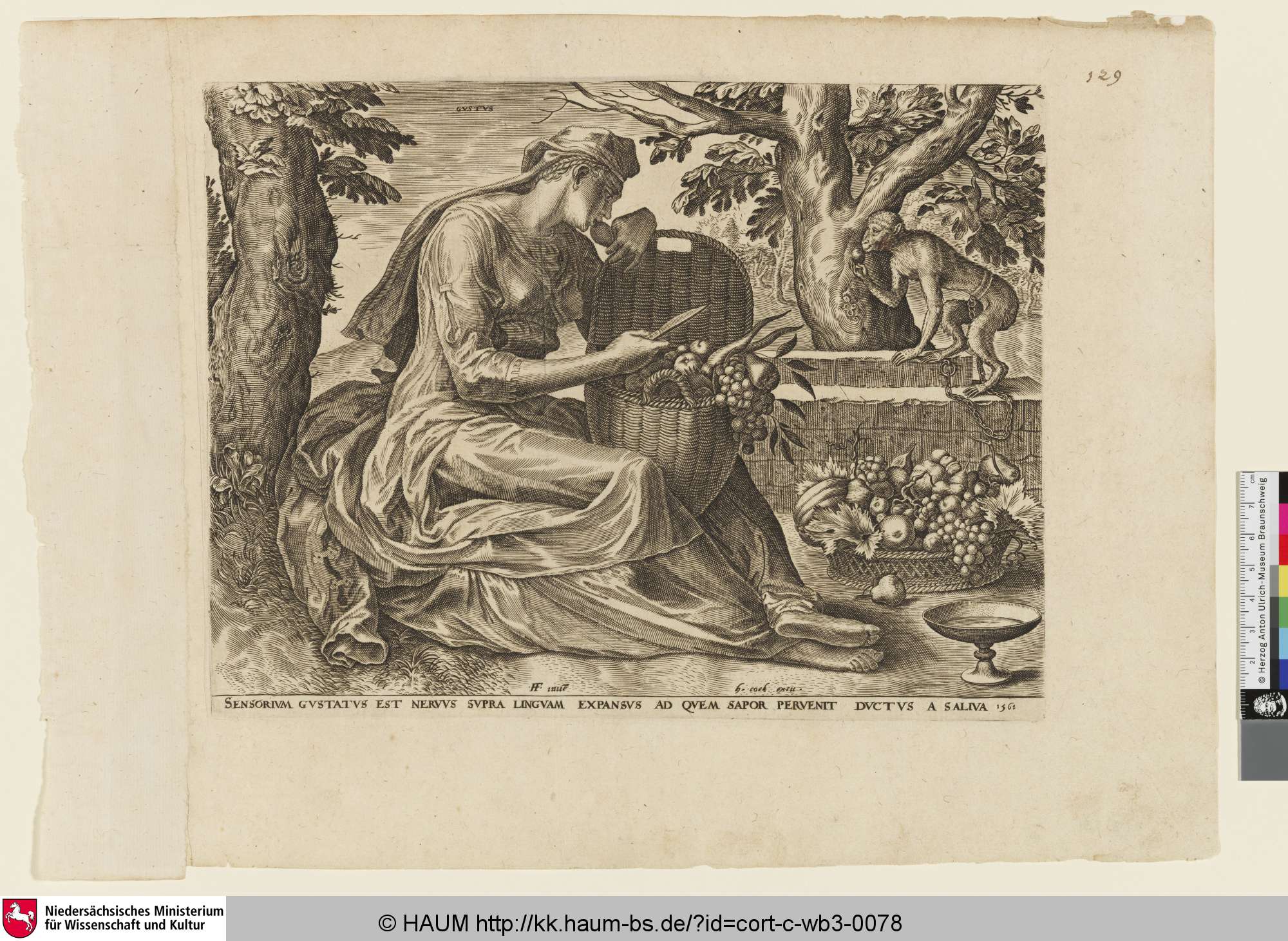 Gustus [Der Geschmackssinn; Taste; Gustus], Cornelis Cort, 1561