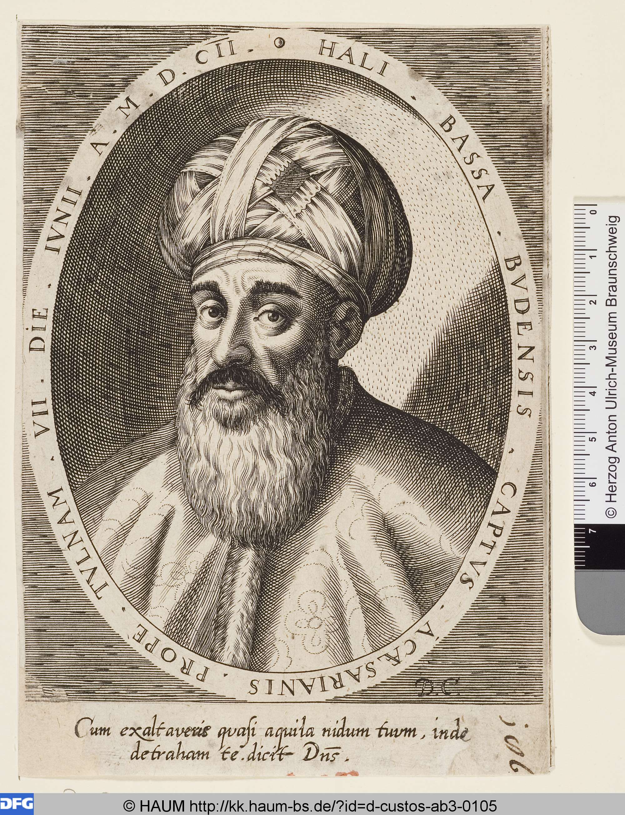 Hali Bassa, Dominicus Custos, 1602