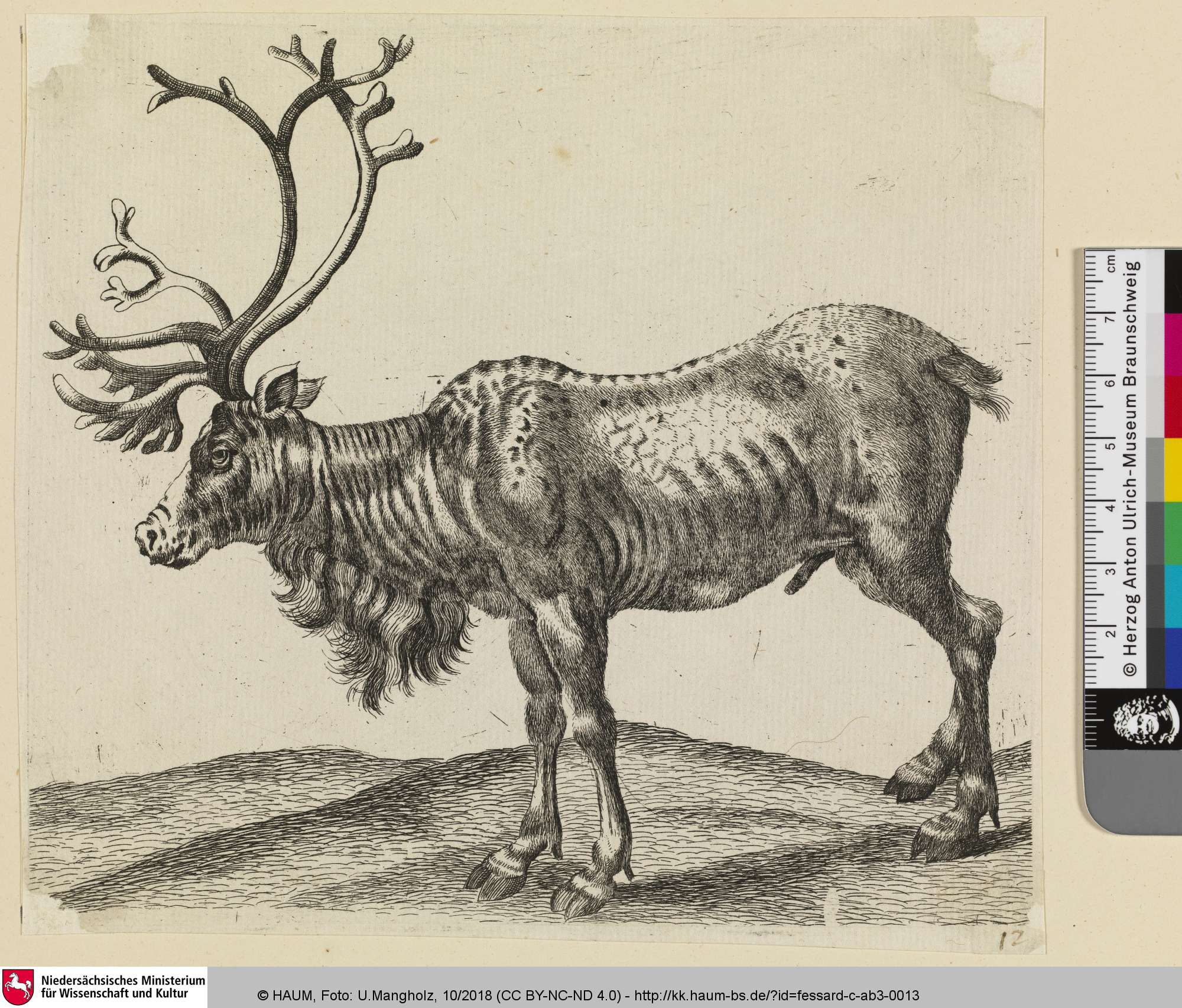 [Étude d'un animal; Tierstudie], Claude Mathieu Fessard, 1767