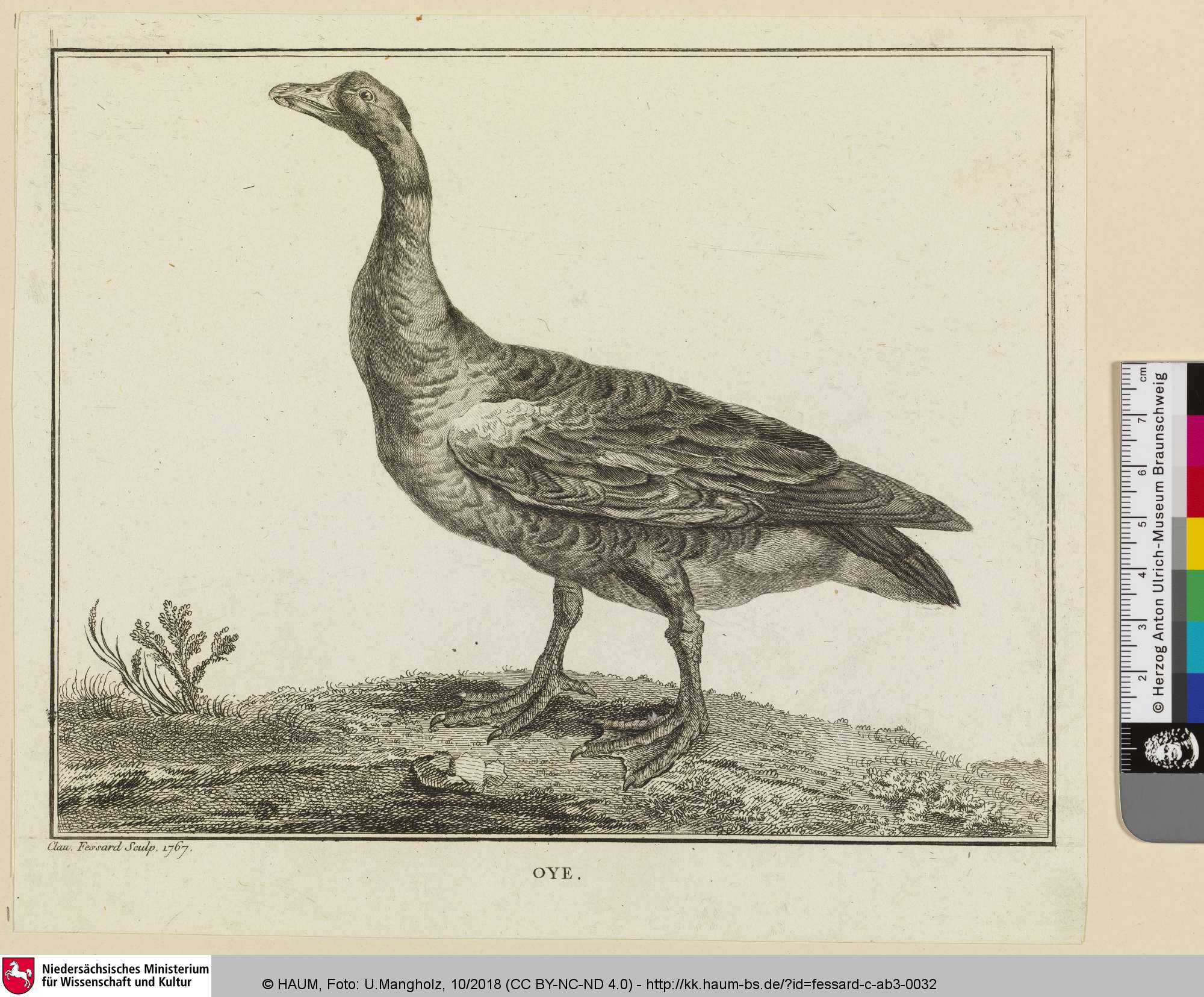 OYE [Gans], Claude Mathieu Fessard, 1767