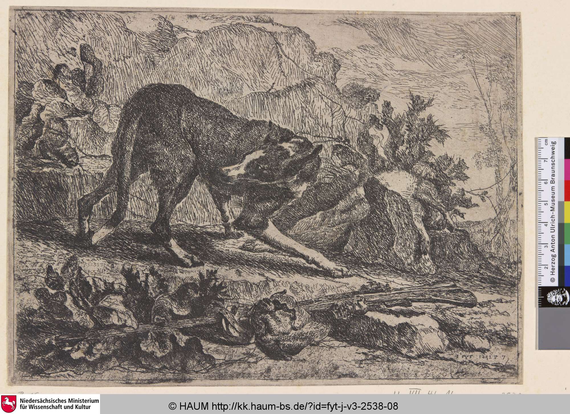 [Ein Hund mit einem Gewehr im Vordergrund; A Dog with a Gun in the Foreground], Ян Фейт, 1642