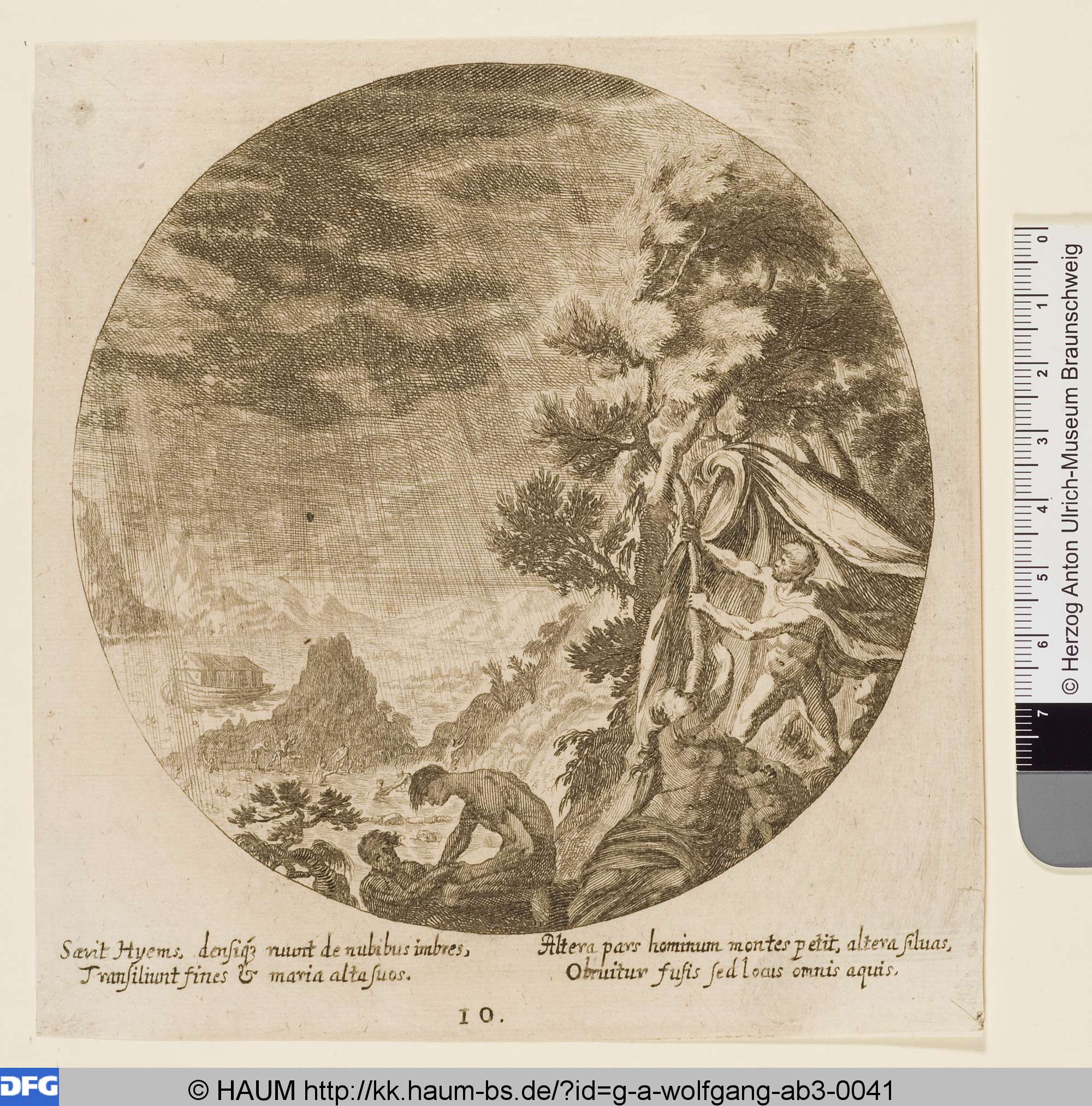 [Darstellung zu Ovids Metamorphosen], David Funck, 1651–1716