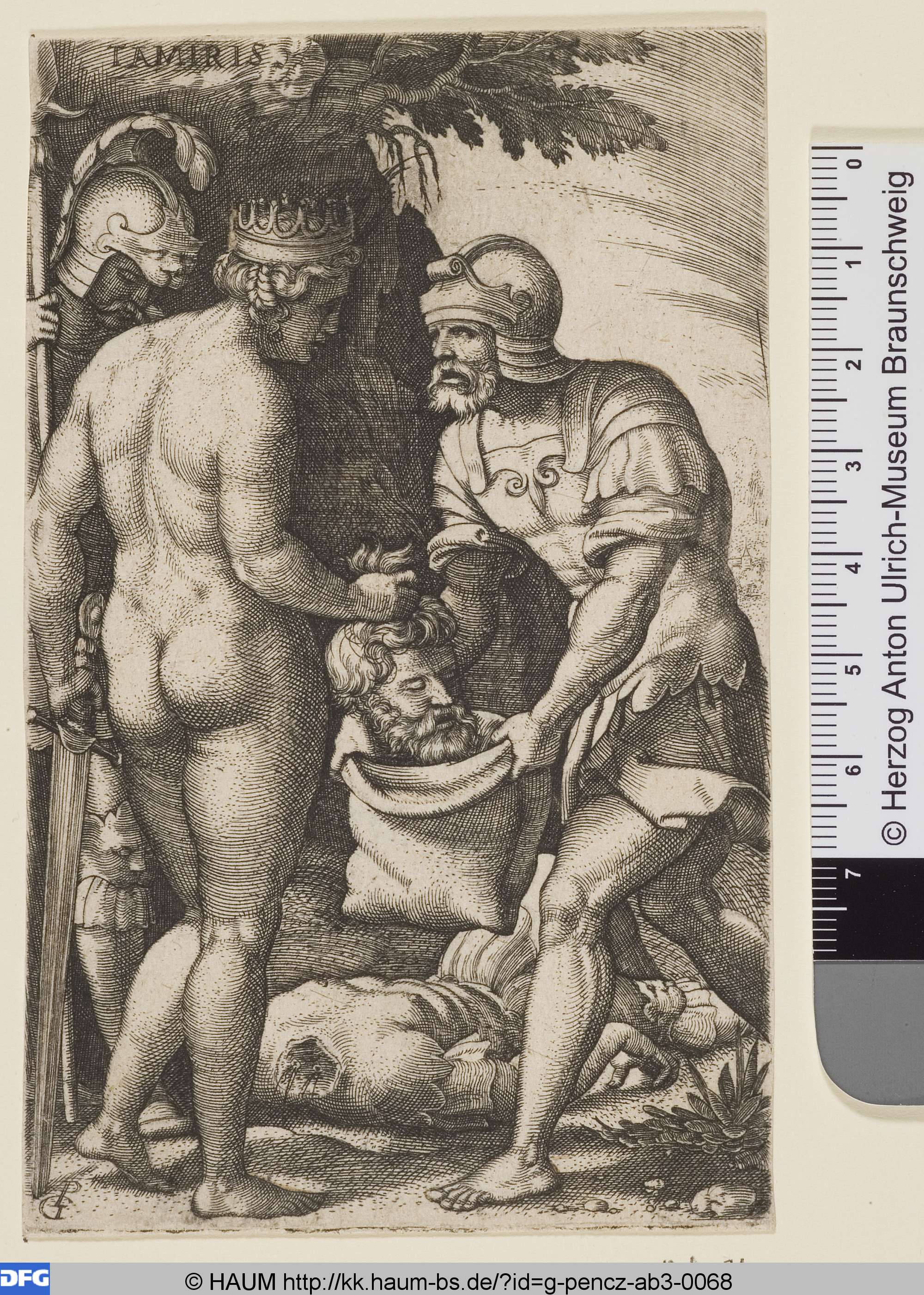 Thomyris mit dem Haupte des Cyrus, Georg Pencz, 1501–1550