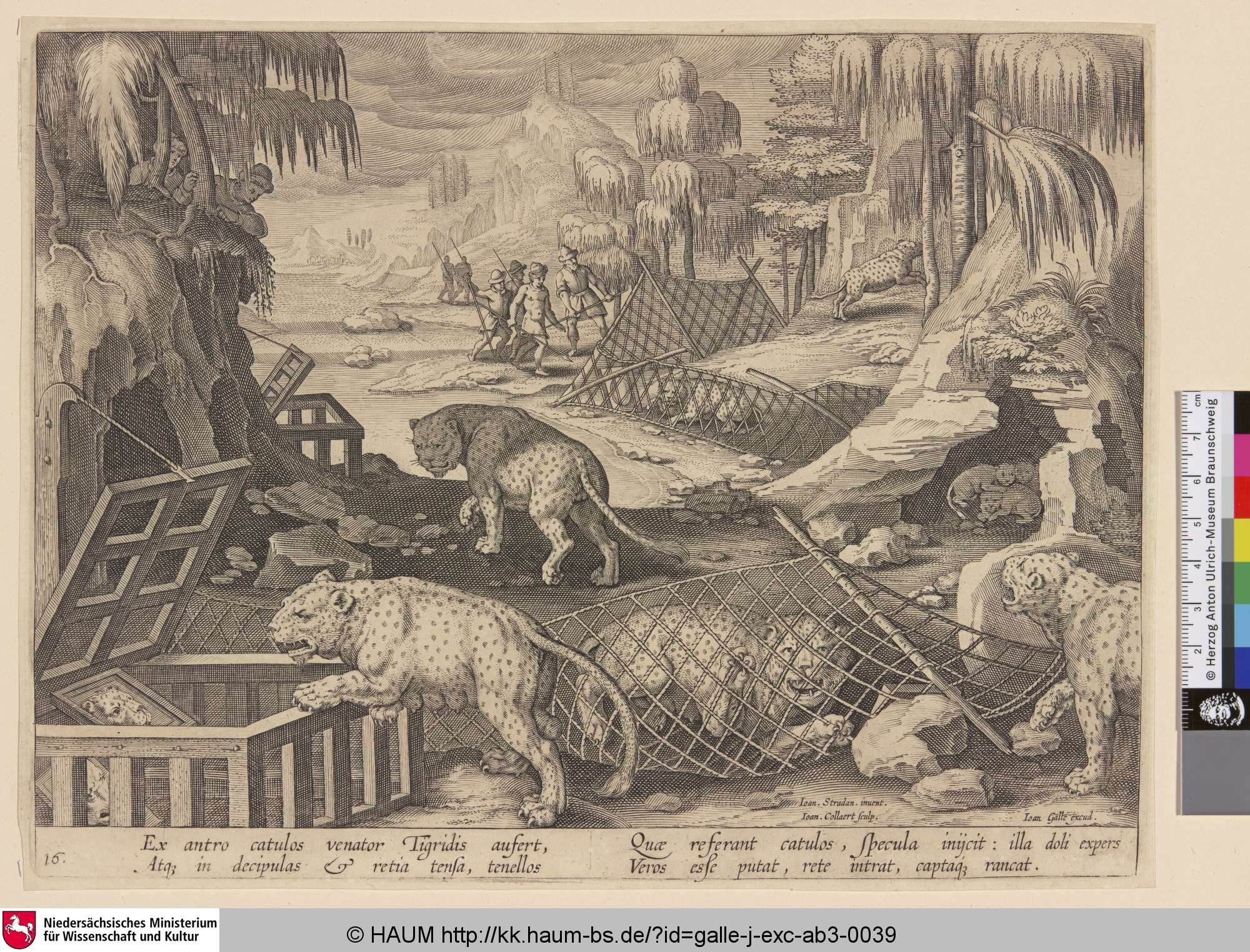 [Leopardenjagd mit Käfigen und Spiegeln; Hunting Panthers using mirrors], Jan Collaert, 1586–1628