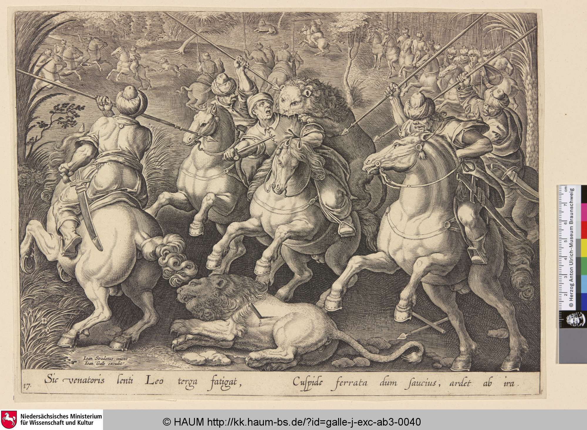 [Löwenjagd mit Pferden; Lion hunt on horseback], Nicolaes Visscher, 1620–1676