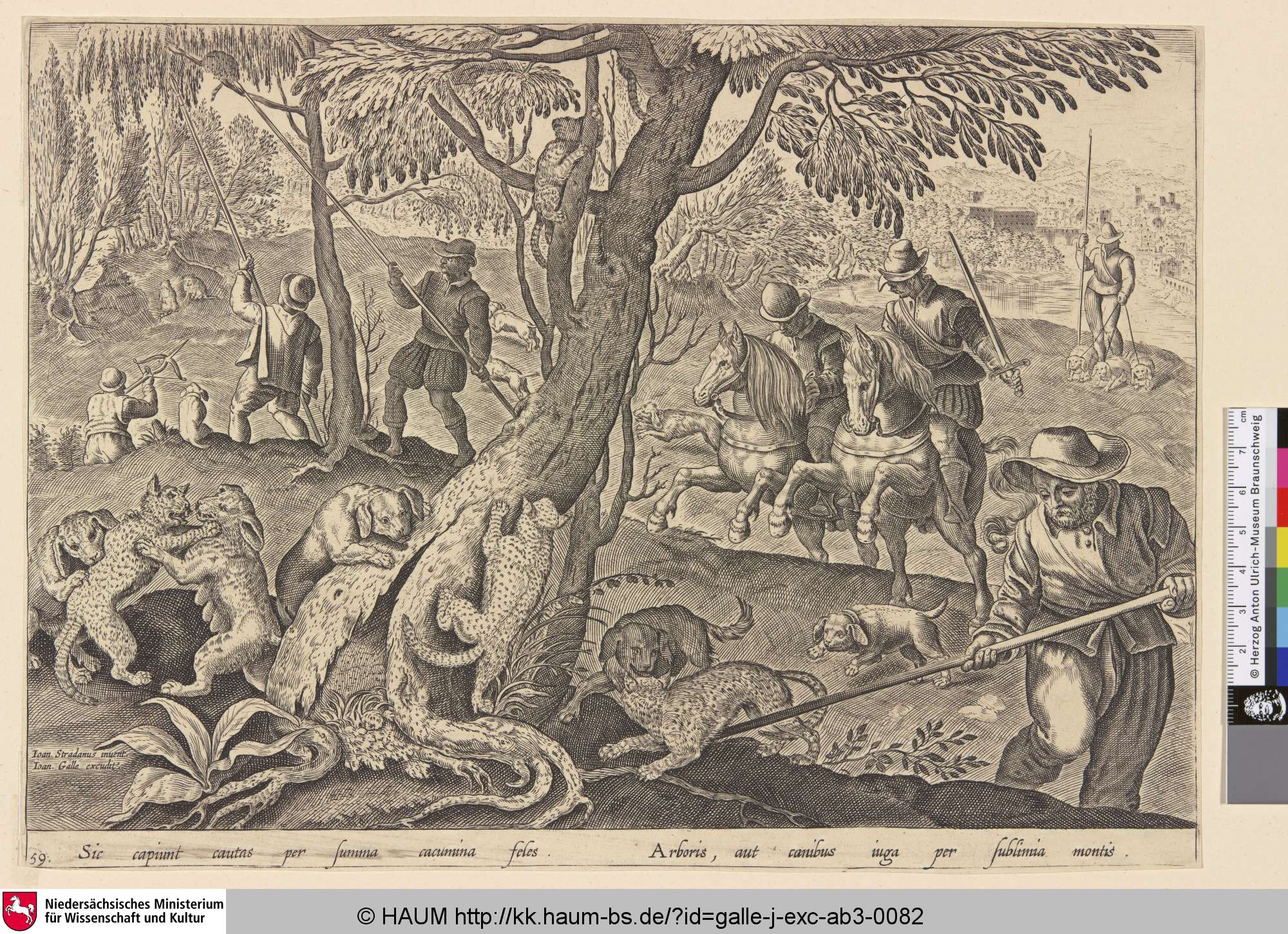 [Wildkatzenjagd; Wildcat hunt], Nicolaes Visscher, 1620–1676