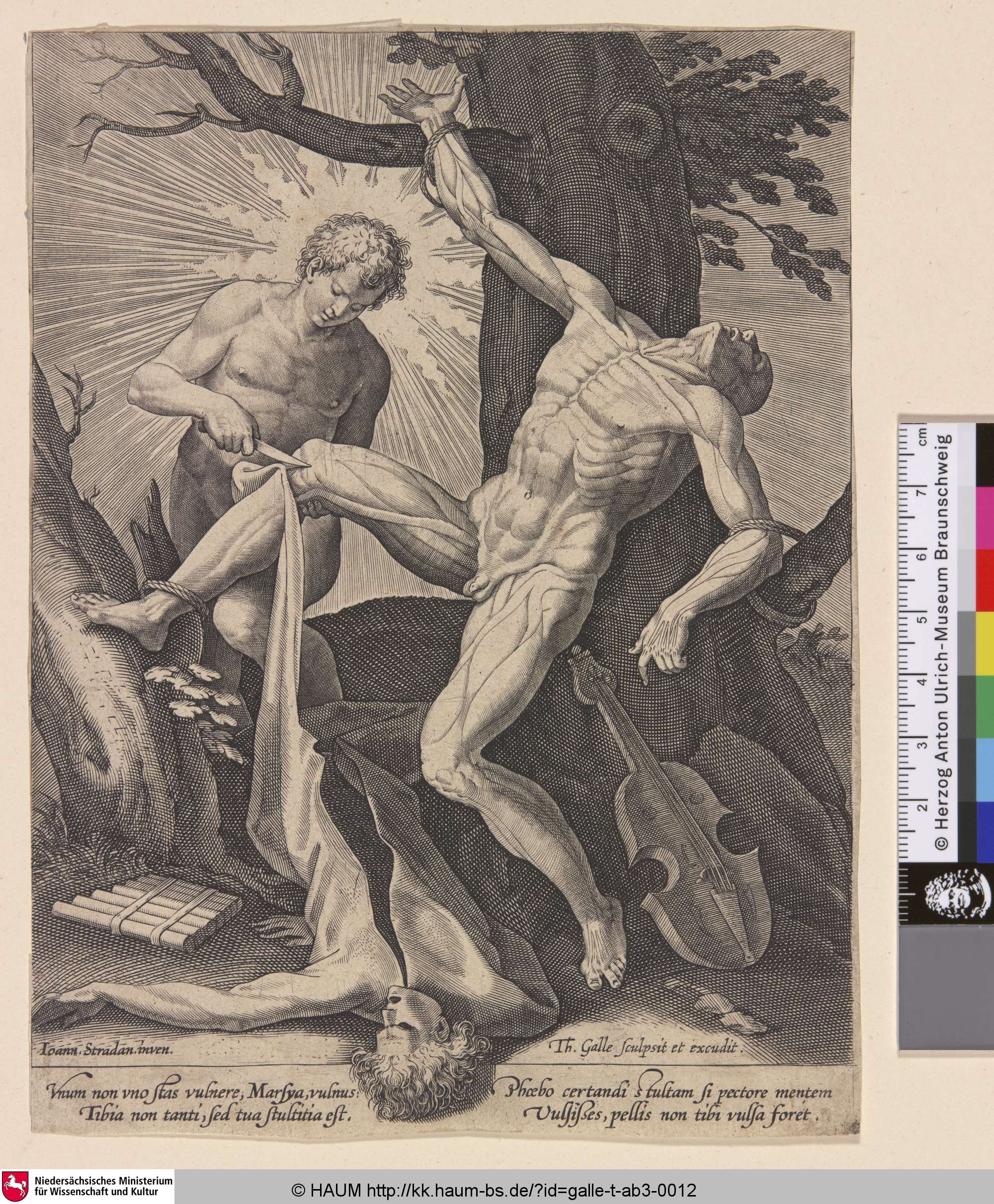 [Apollo häutet Marsyas; Apollo flaying Marsyas], Theodoor Galle, 1591–1633