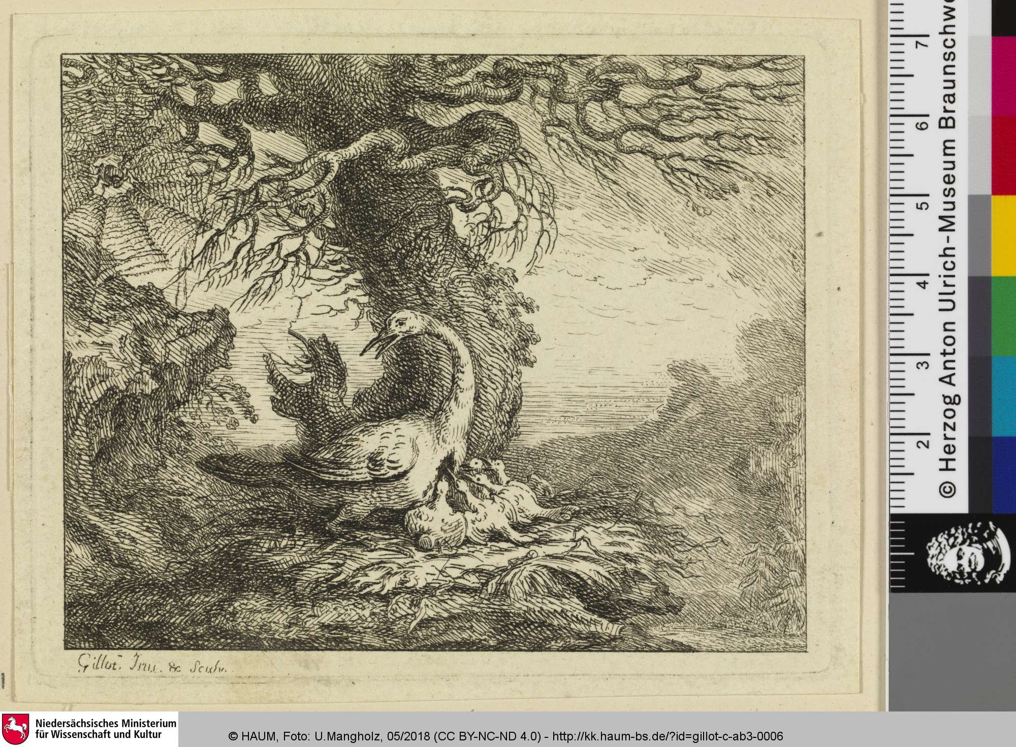 [Der Pelikan und die Spinne; Le Pélican et l'Araignée], Claude Gillot, 1719