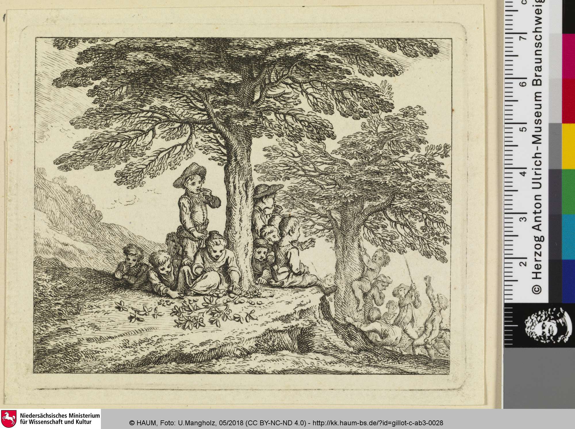 [Die Ulme und die Walnuss; L'Orme et le Noier[Noyer]], Claude Gillot, 1719