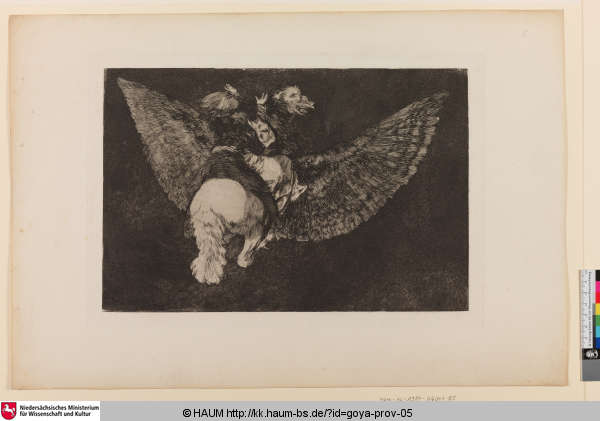 Disparate volante [FliegendeTorheit; Flying folly], Francisco Goya, 1815–1824