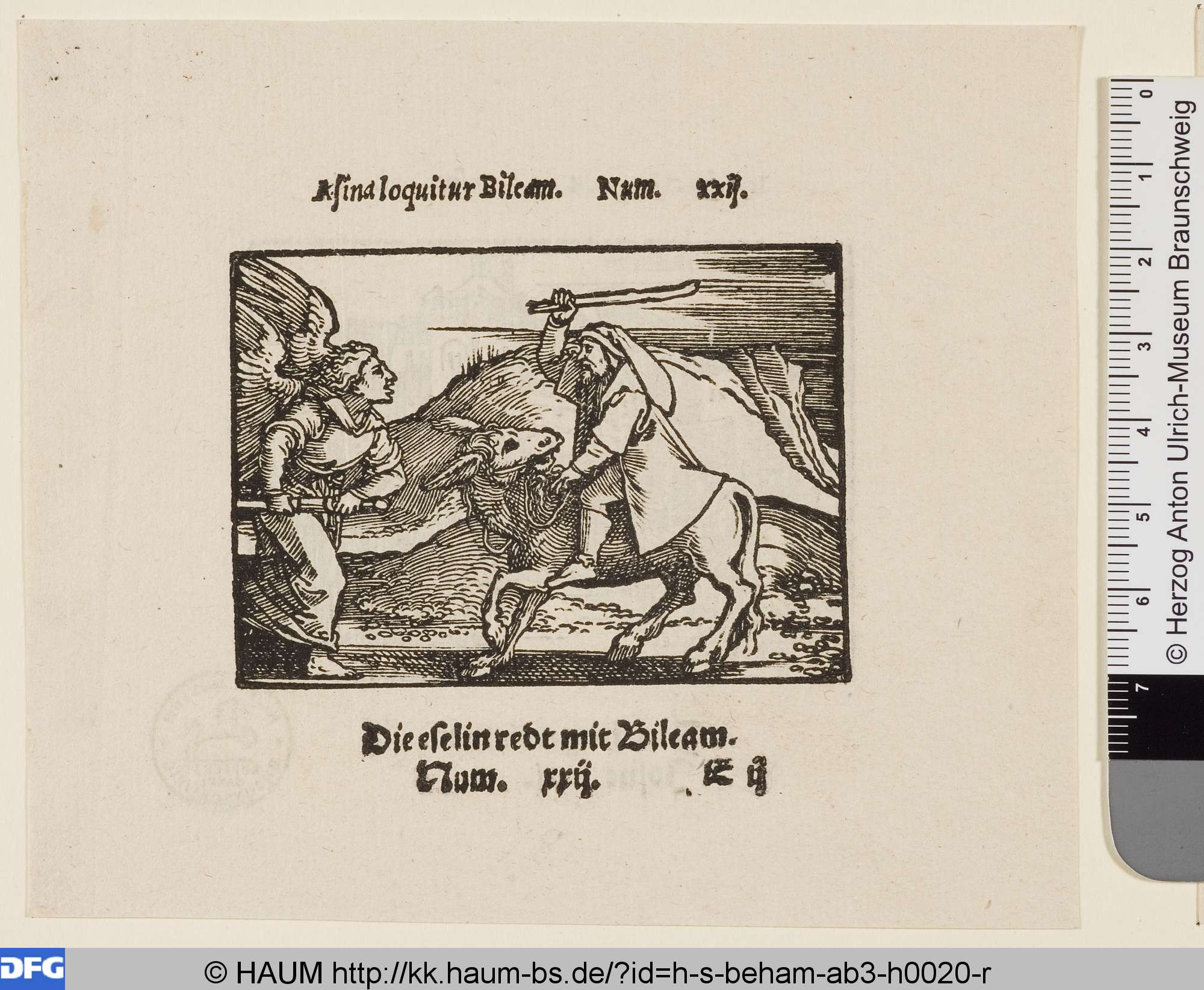 Bileam und die Eselin, Christian Egenolff, 1533