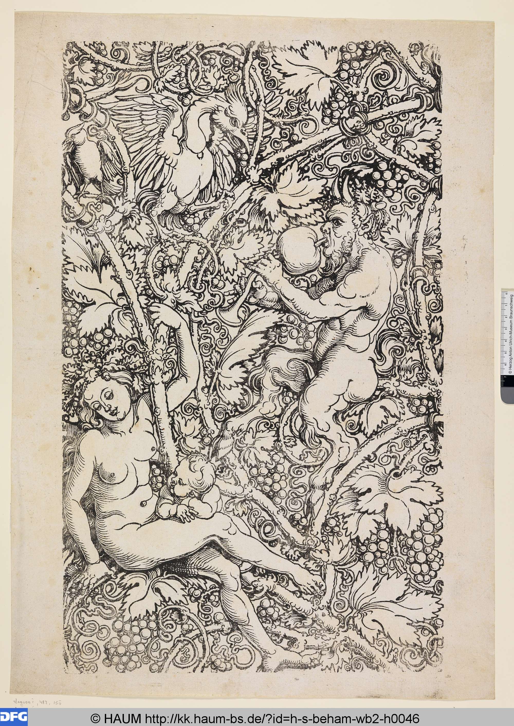 Satyr und Nymphe mit Vögeln, Hans Sebald Beham, 1520–1525