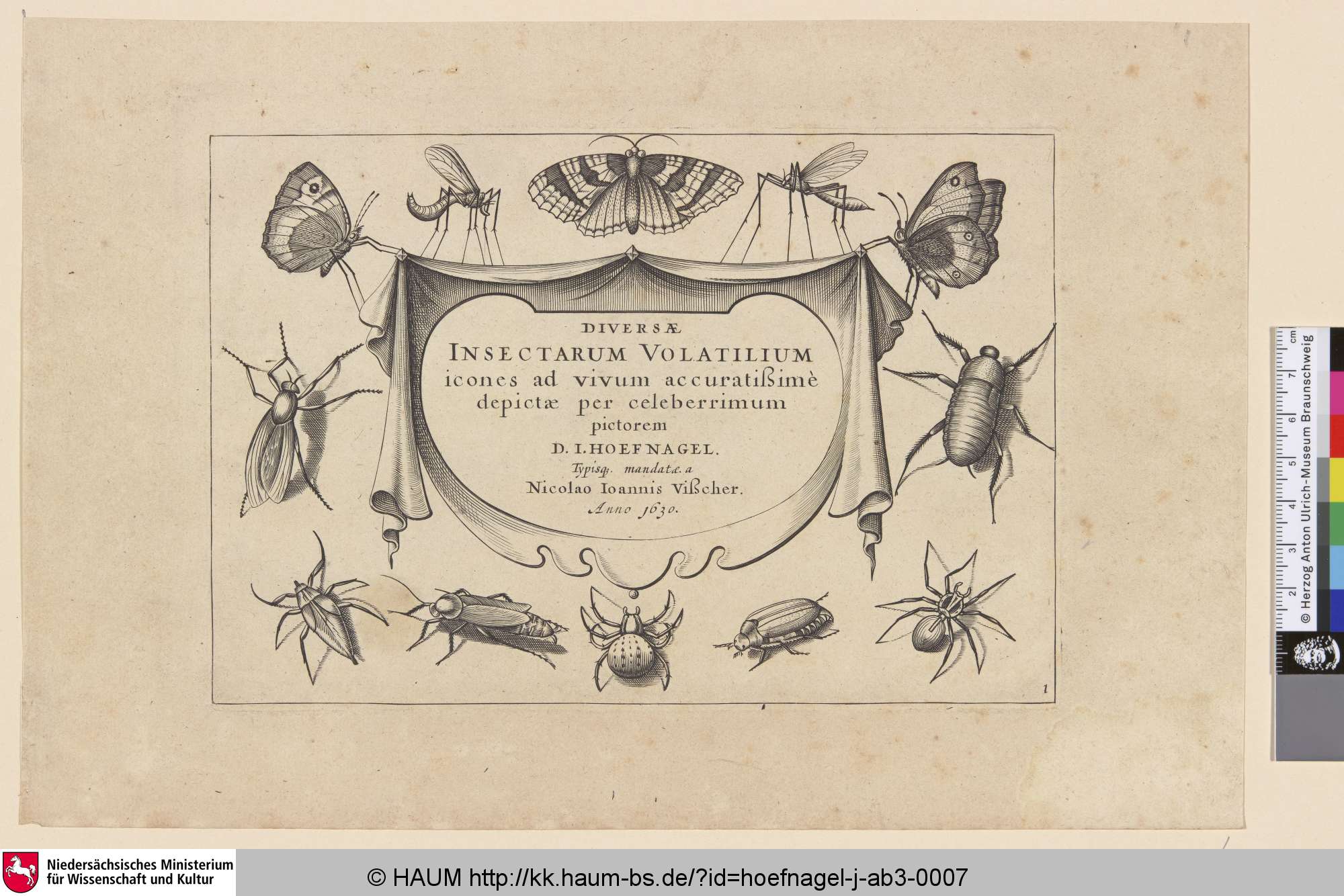 Diversae Insectarum Volatilium, Jacob Hoefnagel, 1630