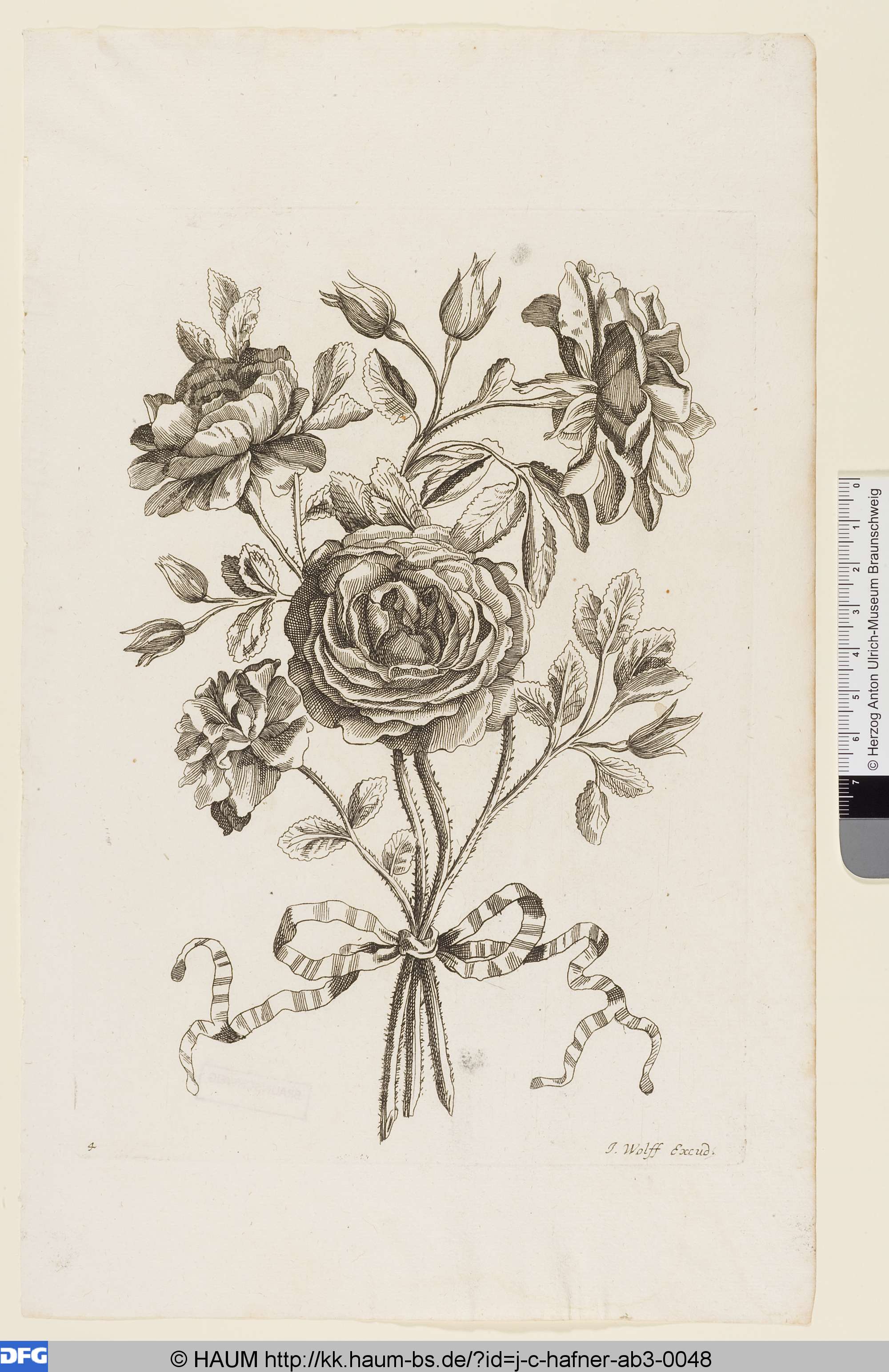 Blume, Johann Christoph Hafner, 1688–1754